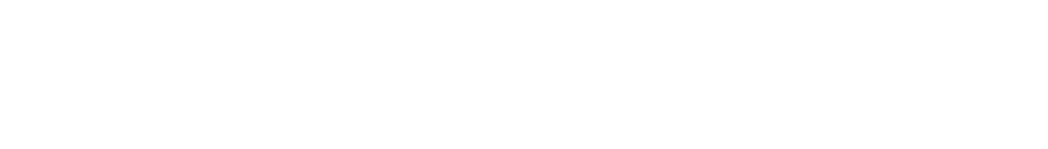 ID-REPORT Logo